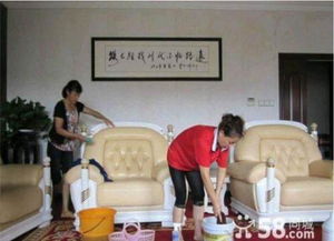 優(yōu)優(yōu)保潔 專業(yè)家政，讓潔凈與美縫點(diǎn)亮生活細(xì)節(jié)